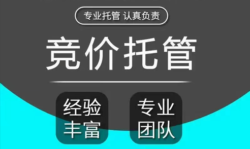 sem竞价托管竞价托管：让你的广告投放更精准更高效的秘密武器